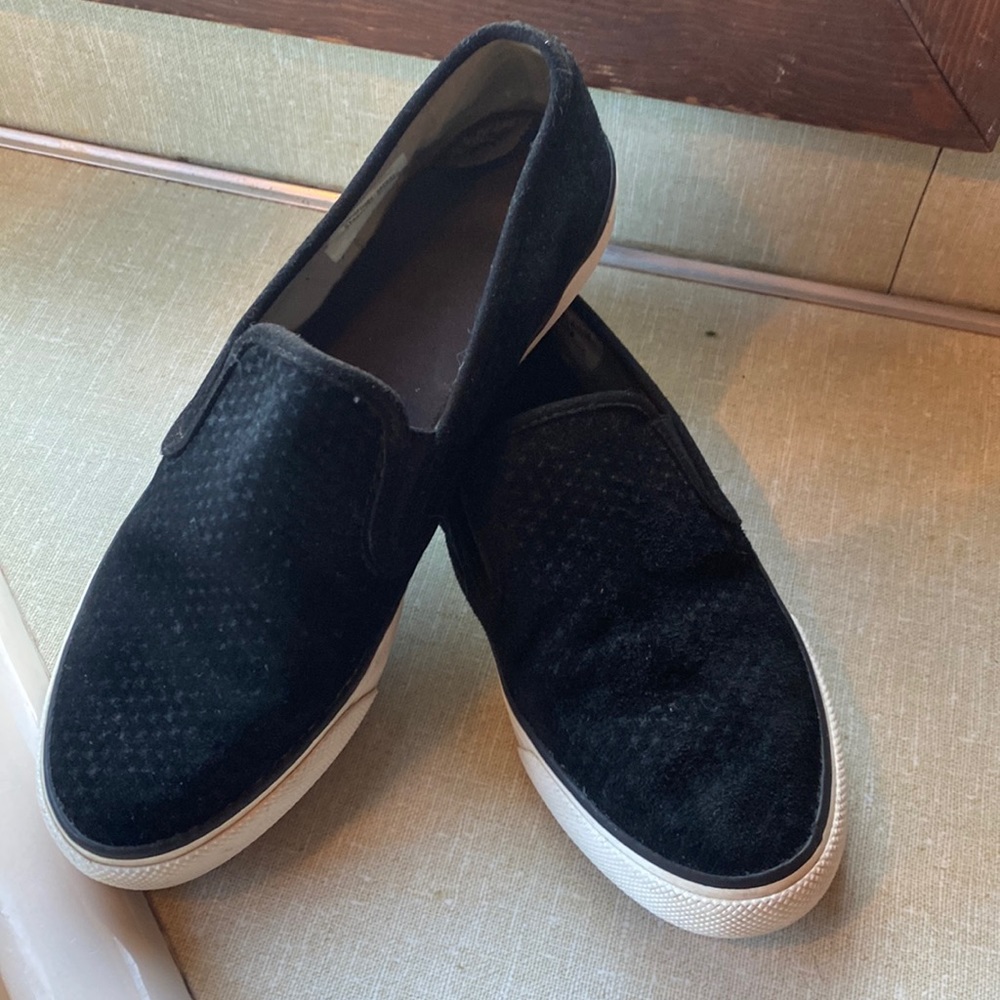 Sperry